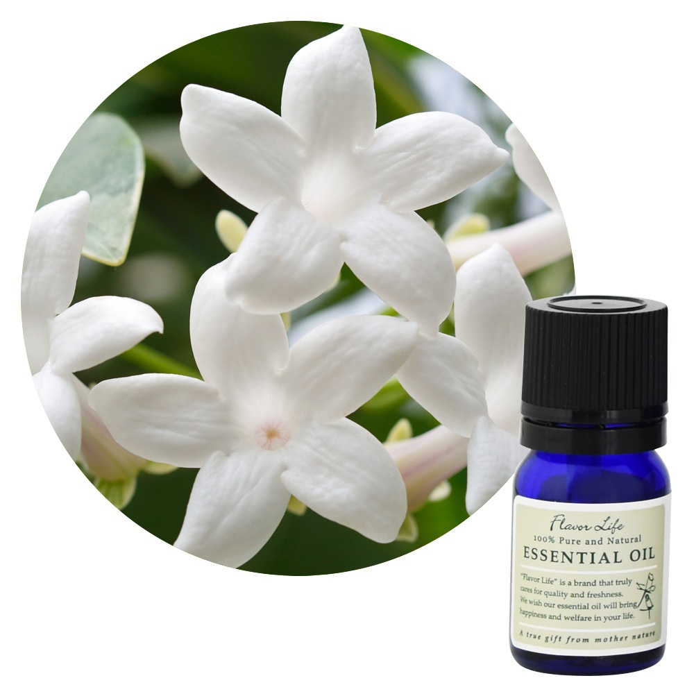 ڥե졼С饤աۥ㥹ߥ󡦥֥塼