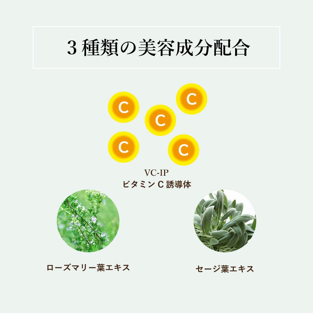 Τʤ롡̵