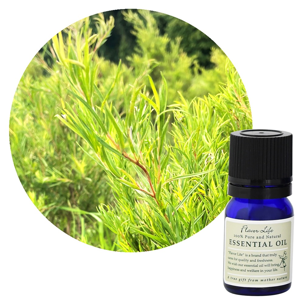 �ڥե졼�С��饤�աۥ����꡼��