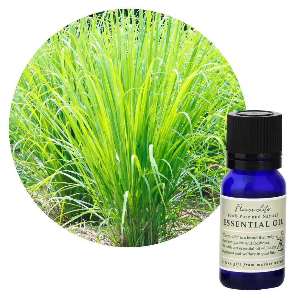 ڥե졼С饤աۥѥޥ