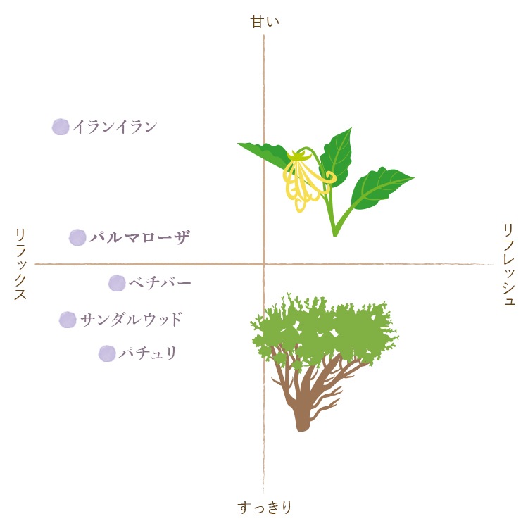 ڥե졼С饤աۥѥޥ