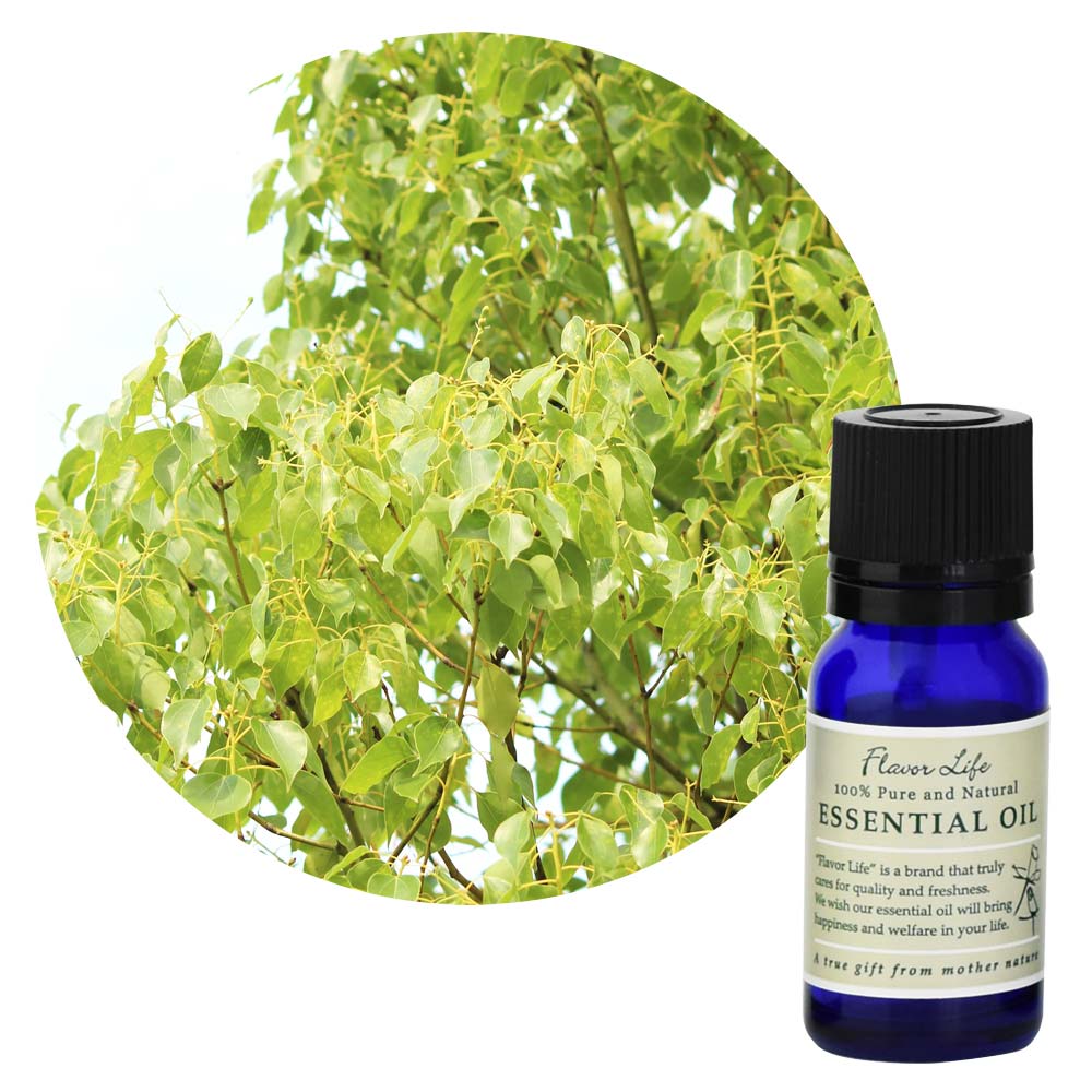 ڥե졼С饤աۥۡ꡼