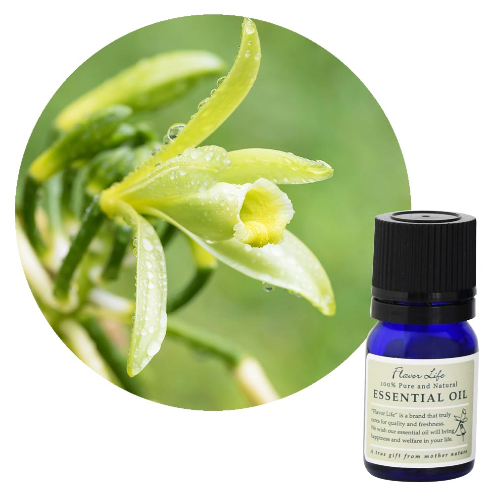 ڥե졼С饤աۥХ˥顦֥塼 10