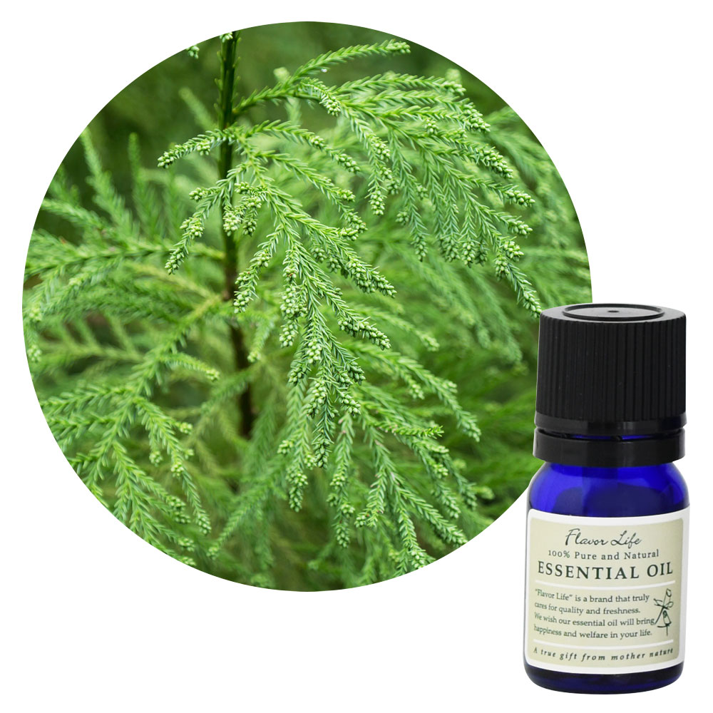 ���������ۿ����ա�