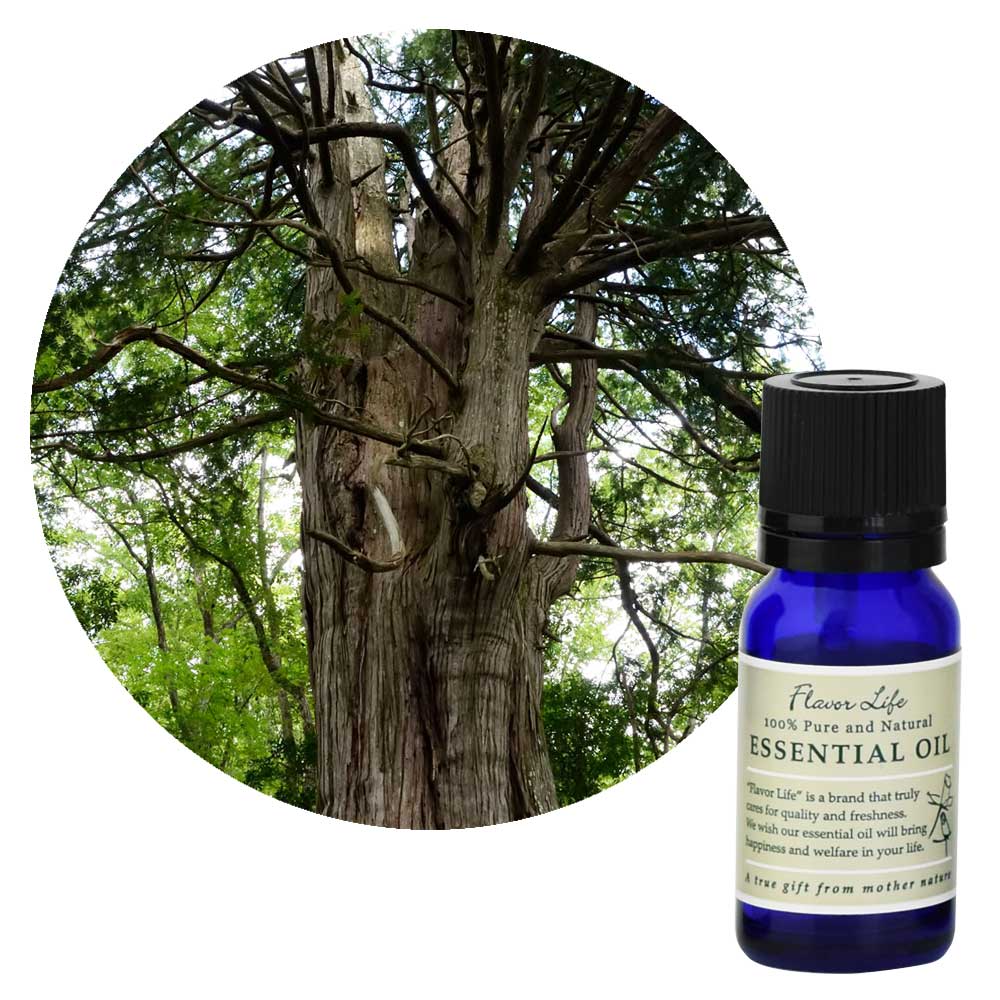 ���������ۤҤΤ�