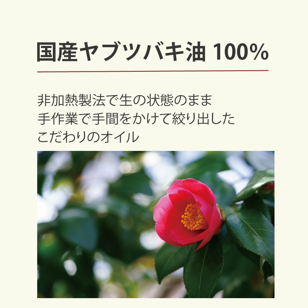 �����������ͥ��륱��