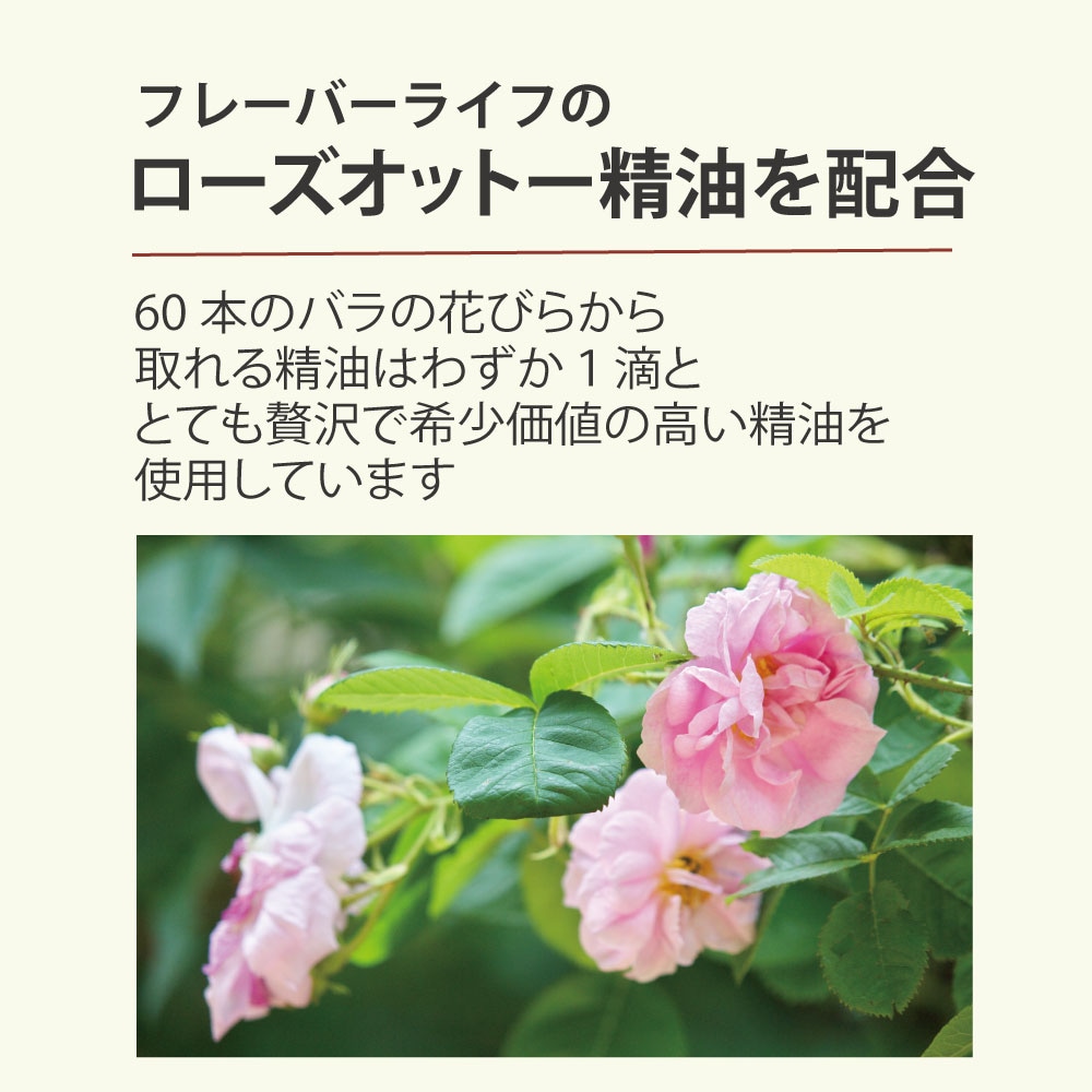 �����������ͥ��륱��