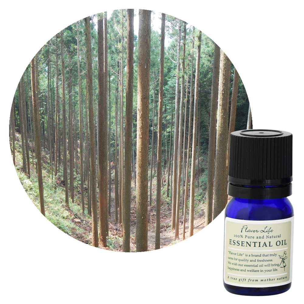 ���������ۿ���������