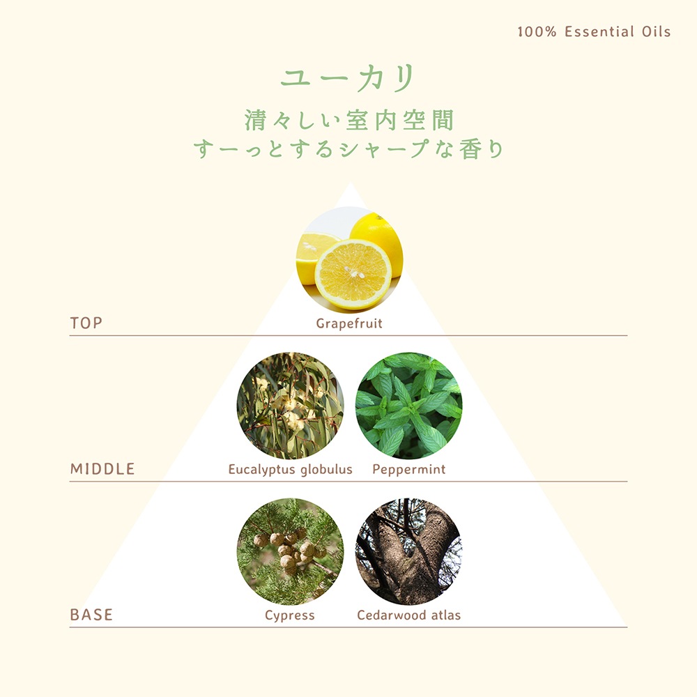��harome�ۥ����ޥ꡼�ɥǥ��ե塼����