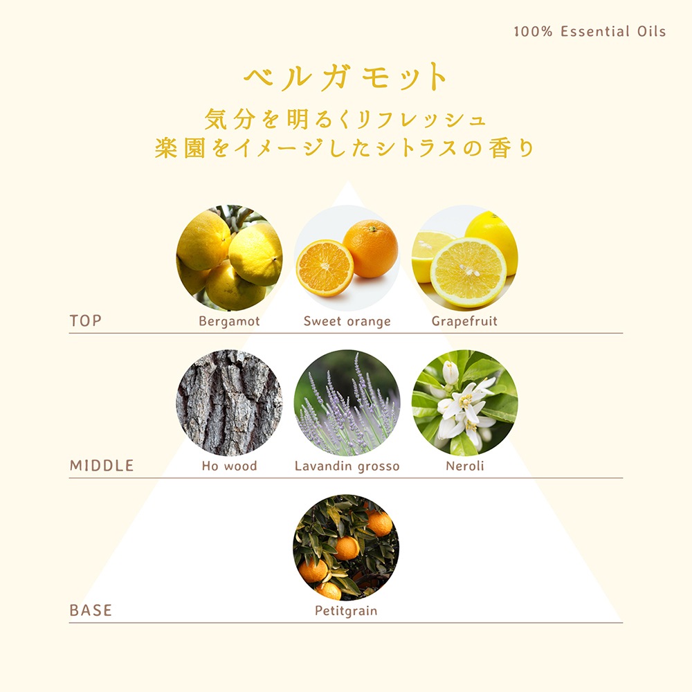 ��harome�ۥ����ޥ꡼�ɥǥ��ե塼����