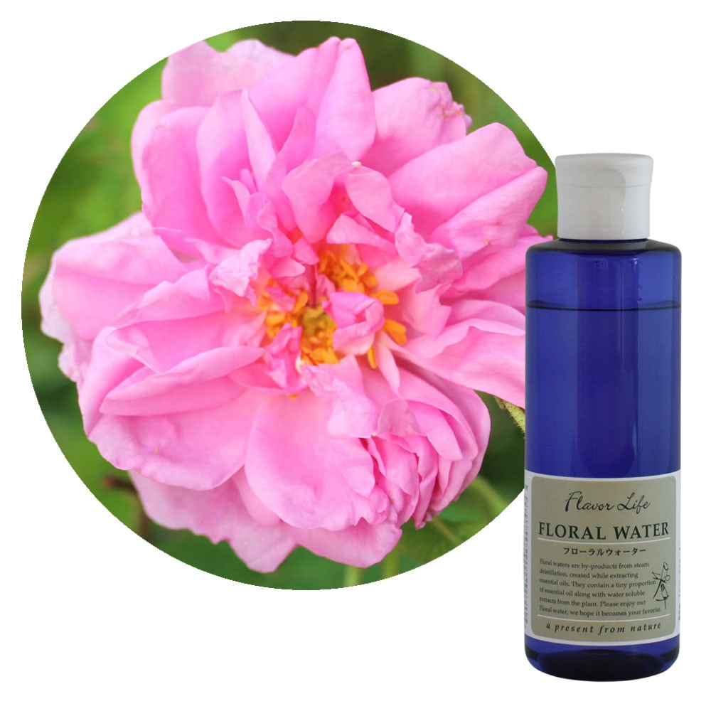 �ץ�ߥ���ӥ塼�ƥ����������å�