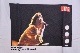SCREEN STARS LIFE TEE MICK JAGGER -WHITE-