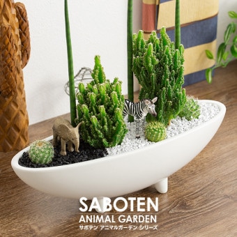 サボテンギフト 寄せ植え 2個乗せタイプ 電磁波サボテン セレウス 選べる動物フィギュア付