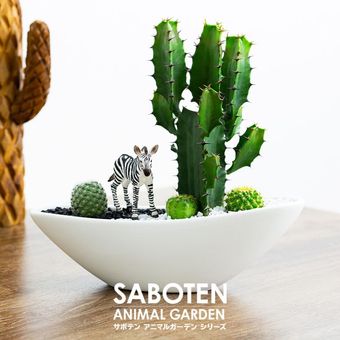 サボテンギフト 寄せ植え 舟形タイプ カクタス 大雲閣 アニマルサボテン 選べる動物フィギュア付