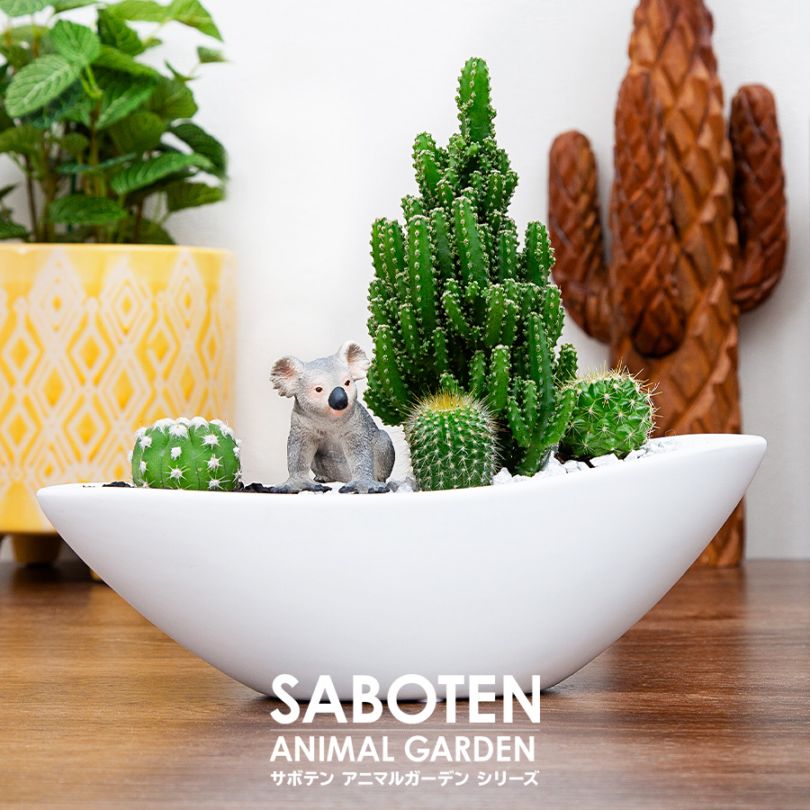 サボテンギフト 寄せ植え 舟形タイプ カクタス セレウス アニマルサボテン 選べる動物フィギュア付