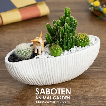 サボテンギフト 寄せ植え 波形タイプ 電磁波サボテン セレウス 選べる動物フィギュア付