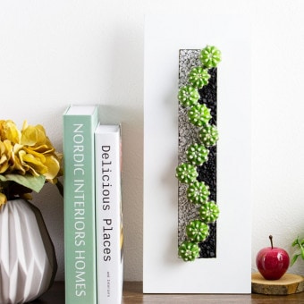 サボテンギフト 長方形フレーム