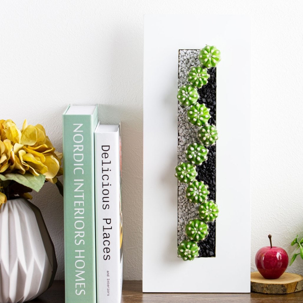 サボテンギフト 長方形フレーム