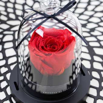 幸せのダイヤモンドローズ リトルベル