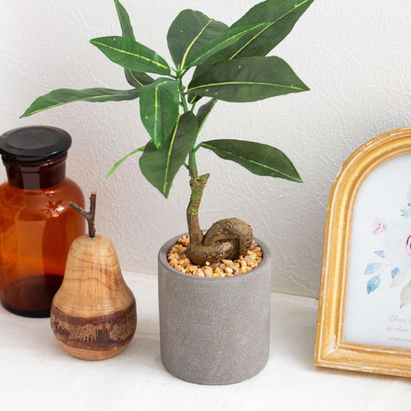 コーヒーの木 フェイクグリーン