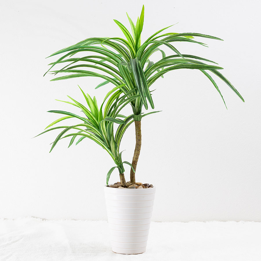 ユッカ フェイクグリーン