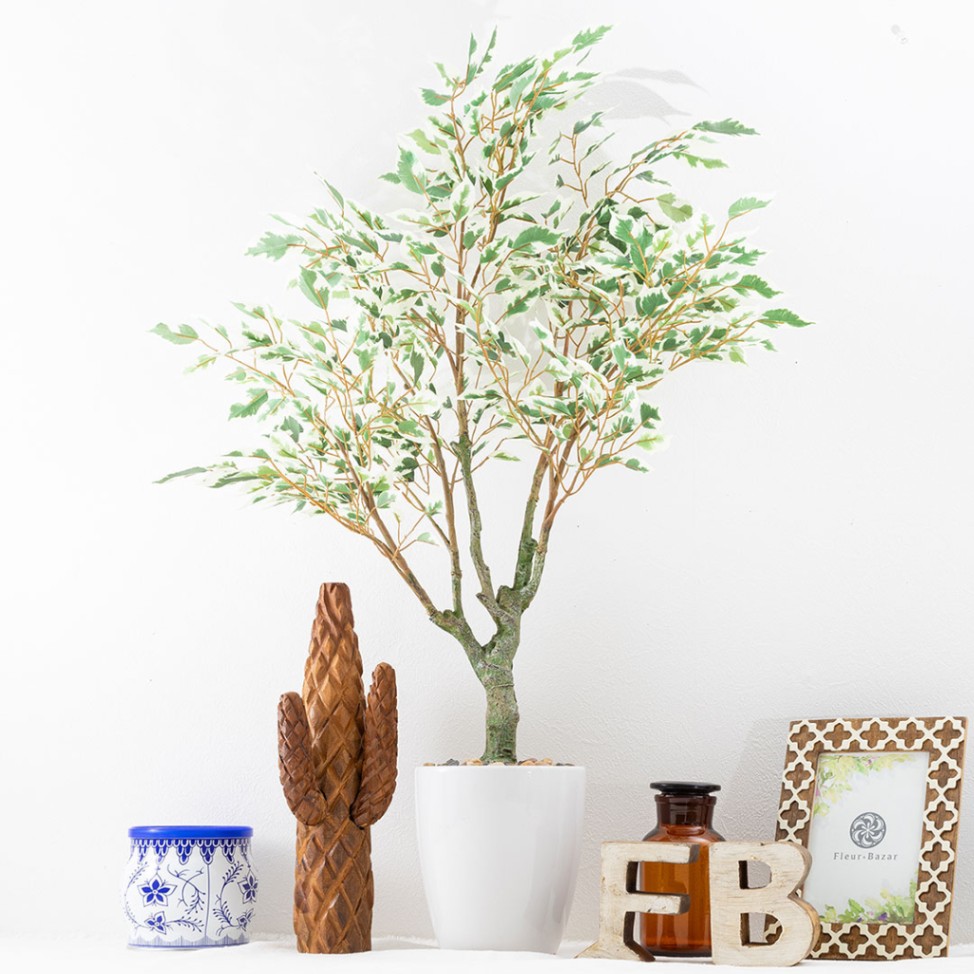 フィカス ベンジャミン フェイクグリーン