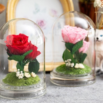グラスフラワー プリビューティードーム
