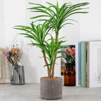 ユッカ　セメントポット フェイクグリーン