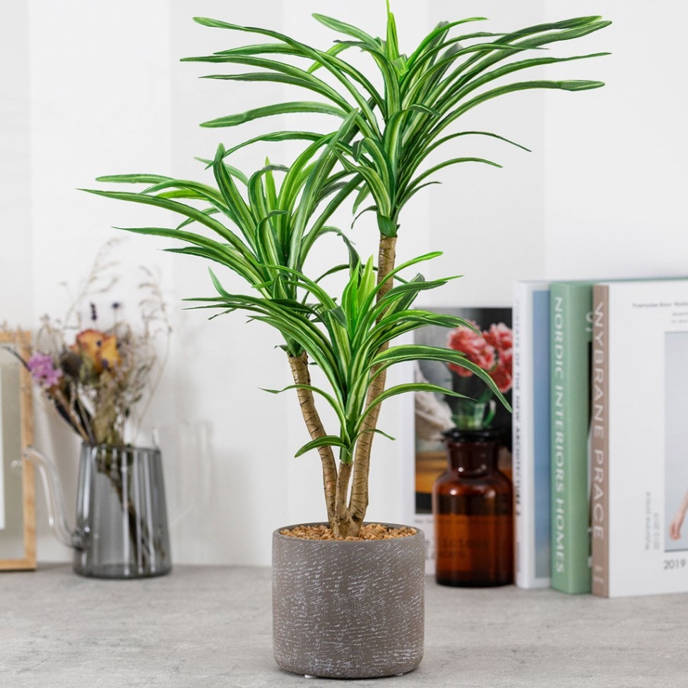 ユッカ　セメントポット フェイクグリーン