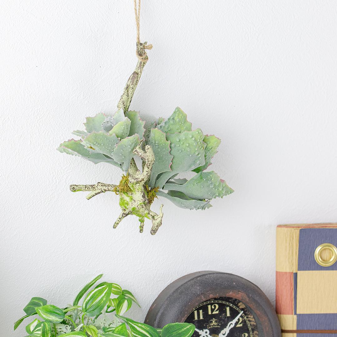 フェイクグリーン カランコエ着生