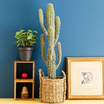 フェイクグリーン 柱サボテン ポット付