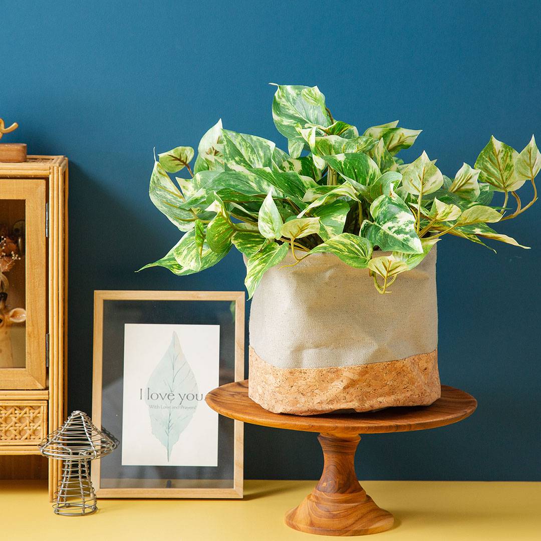 フェイクグリーン ポトスブッシュ