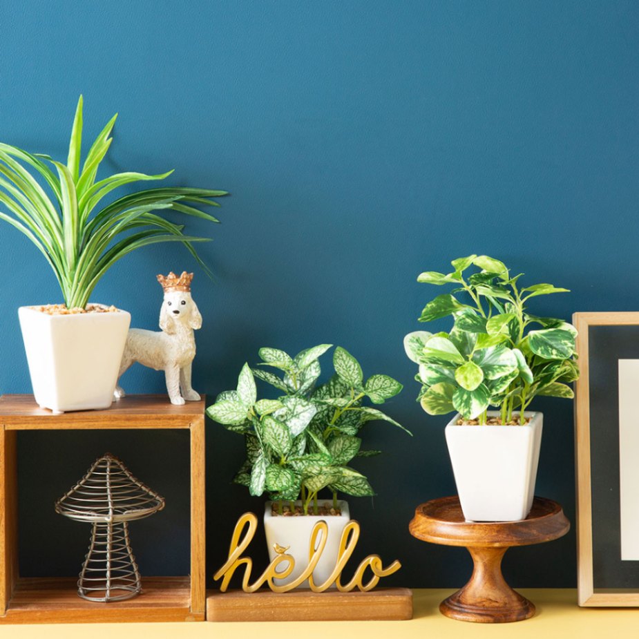 フェイク3点セット