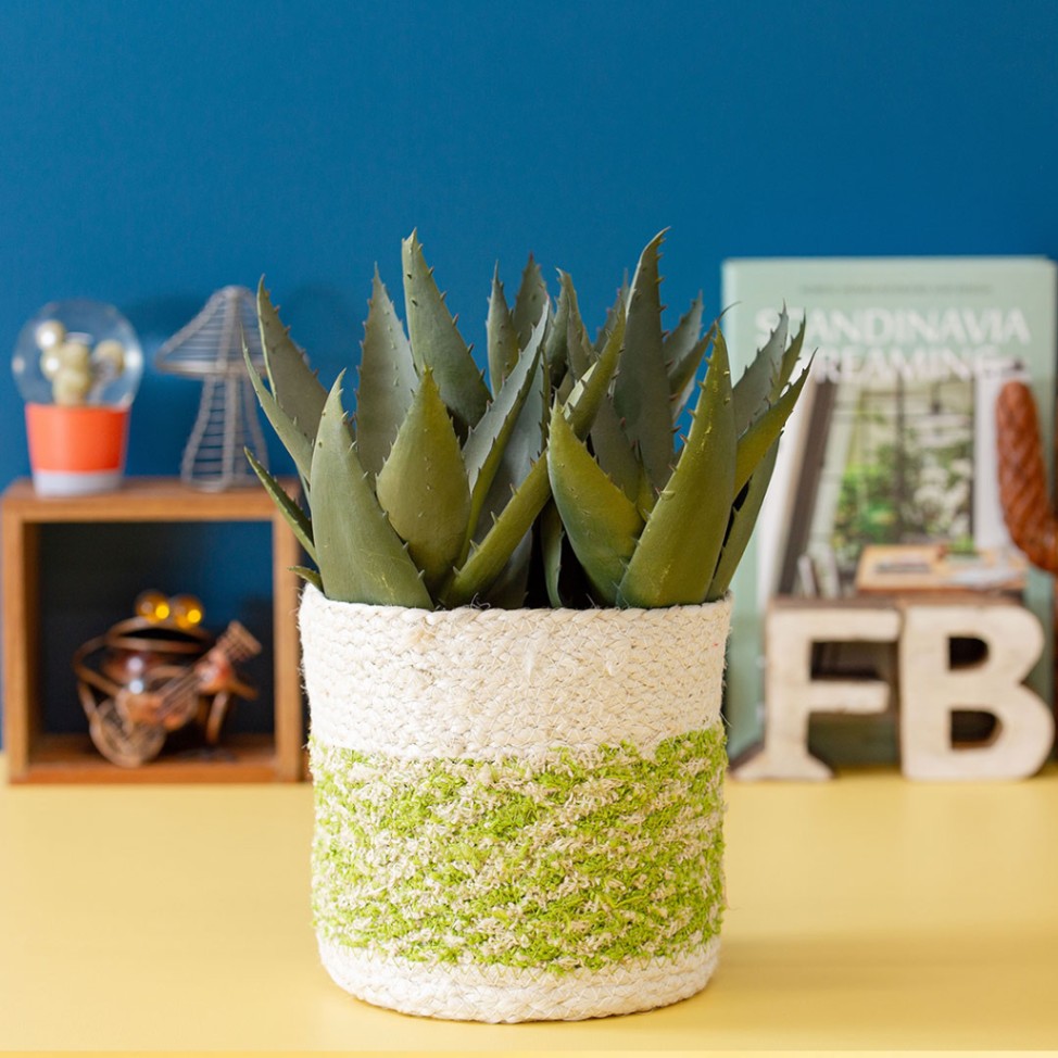 フェイクグリーン アロエポット