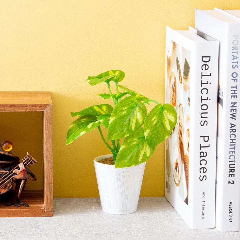 ミニポトスポット フェイクグリーン 光触媒加工