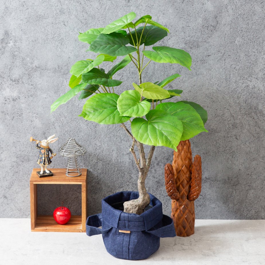 ウンベラータ フェイクグリーン 光触媒加工