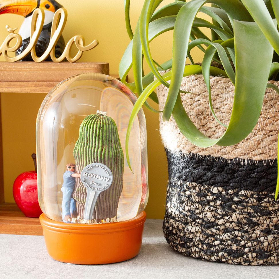 【PLANTS WATER GLOBE】プランツ ウォーター グローブ  カクタス ウィズ メン