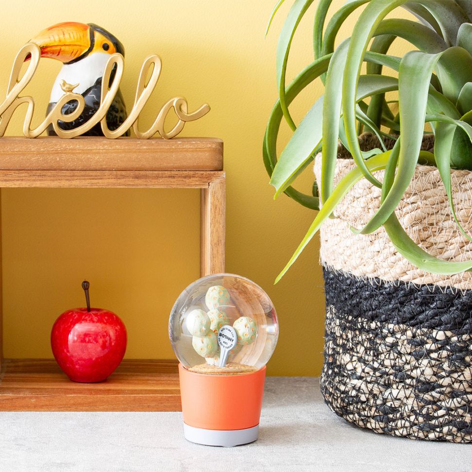 【PLANTS WATER GLOBE】プランツ ウォーター グローブ  ゲオメトリクス