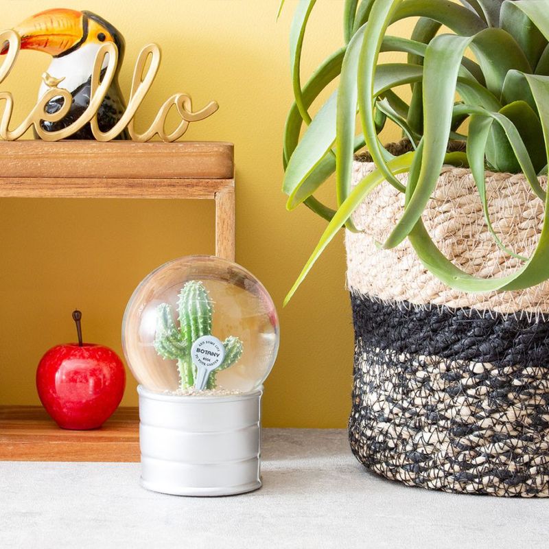 【PLANTS WATER GLOBE】プランツ ウォーター グローブ  ユーフォルビア エキヌス