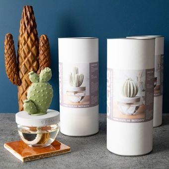 カクタス フレグランス ディフューザー