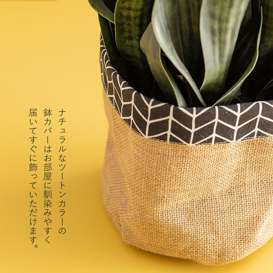 サンセベリア 長く続く事を願う縁起物ギフト フェイクグリーン