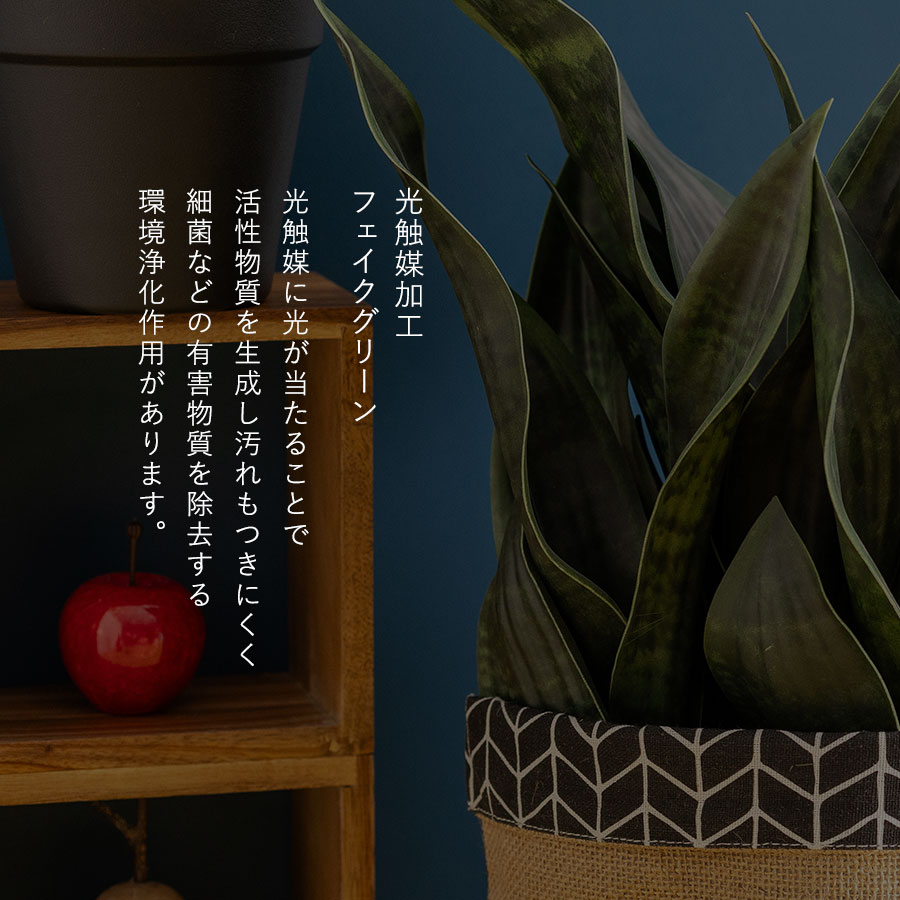 サンセベリア 長く続く事を願う縁起物ギフト フェイクグリーン