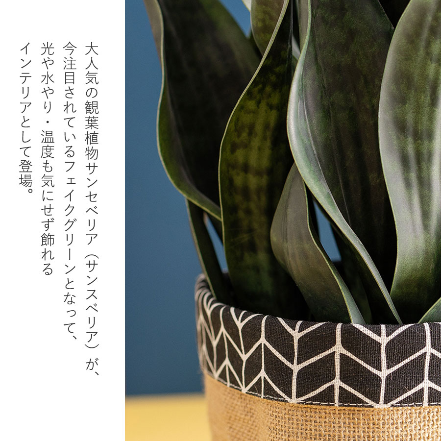 サンセベリア 長く続く事を願う縁起物ギフト フェイクグリーン