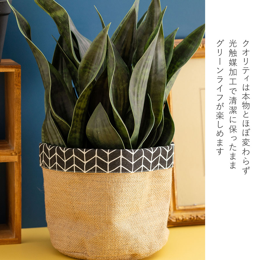 サンセベリア 長く続く事を願う縁起物ギフト フェイクグリーン