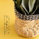 サンセベリア 長く続く事を願う縁起物ギフト フェイクグリーン