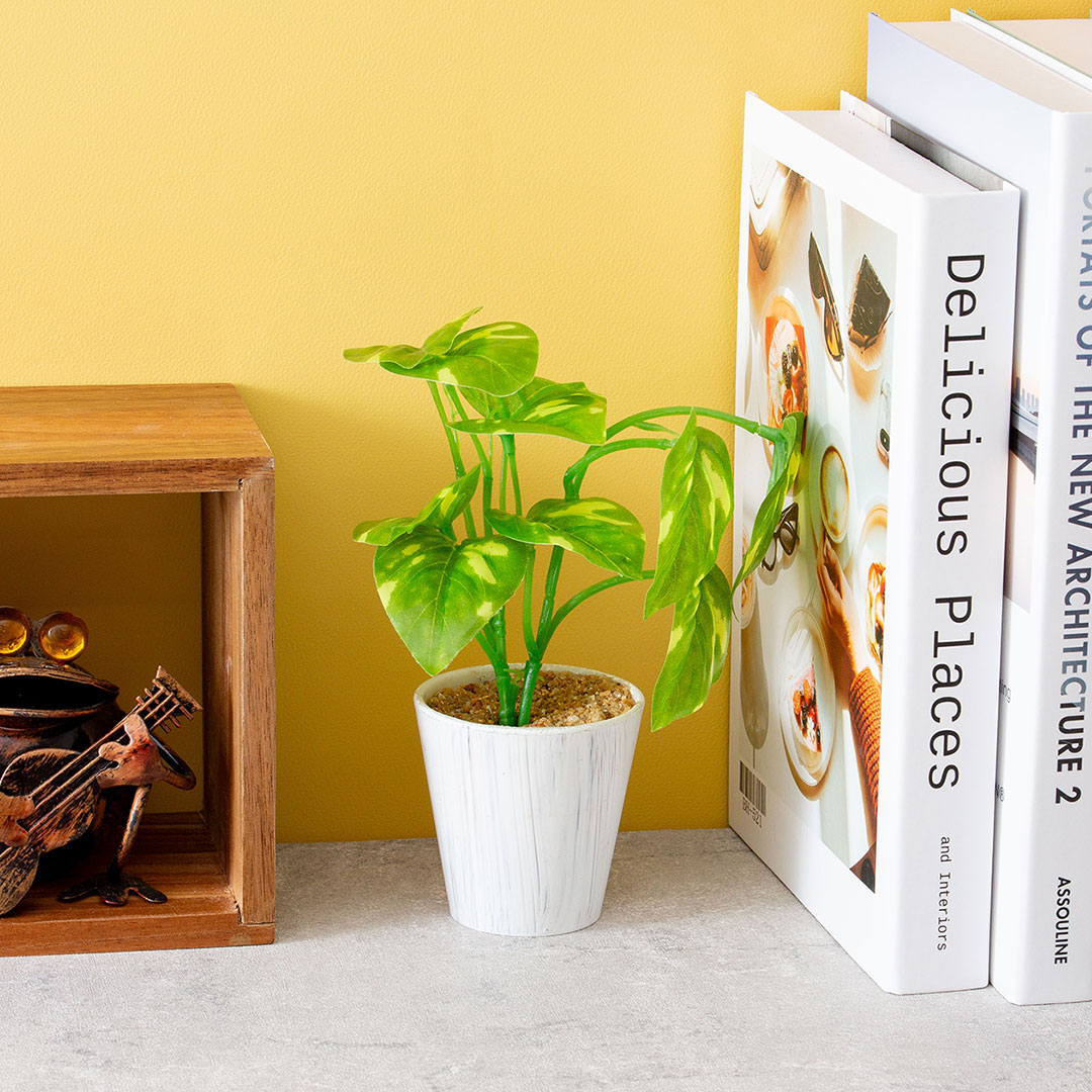 ミニポトスポット フェイクグリーン 光触媒加工