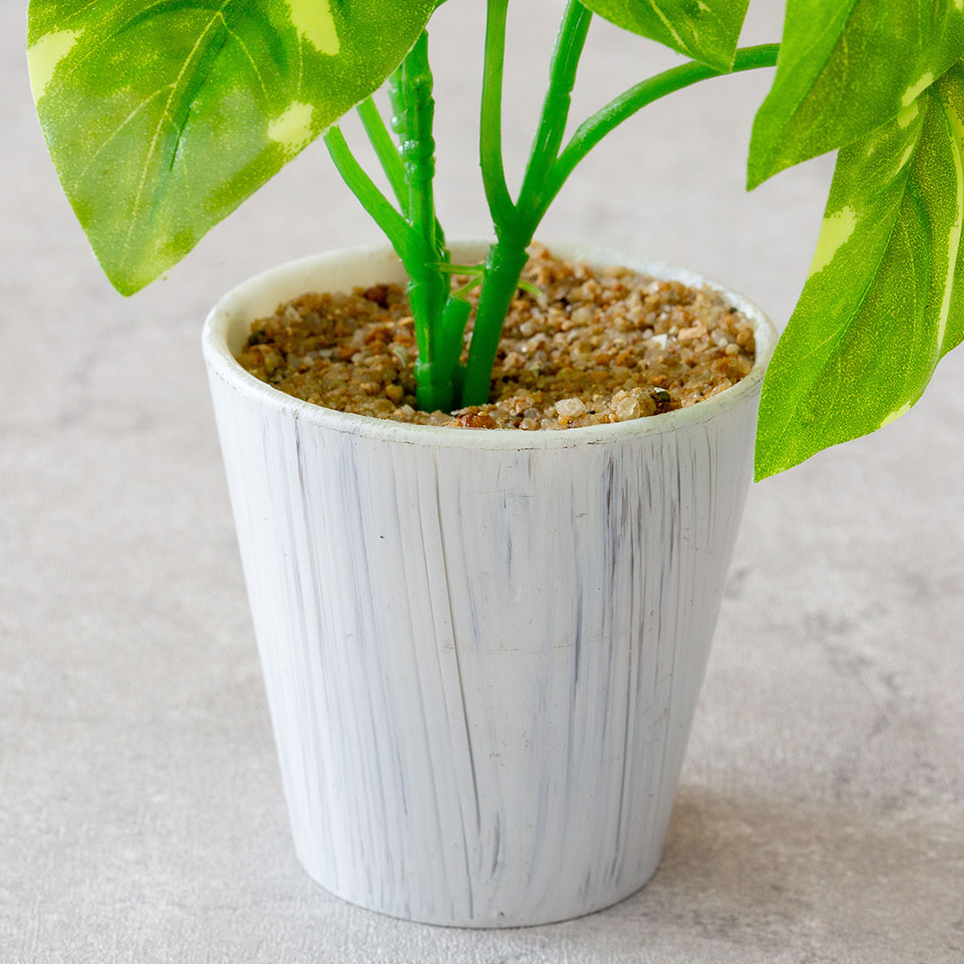 ミニポトスポット フェイクグリーン 光触媒加工