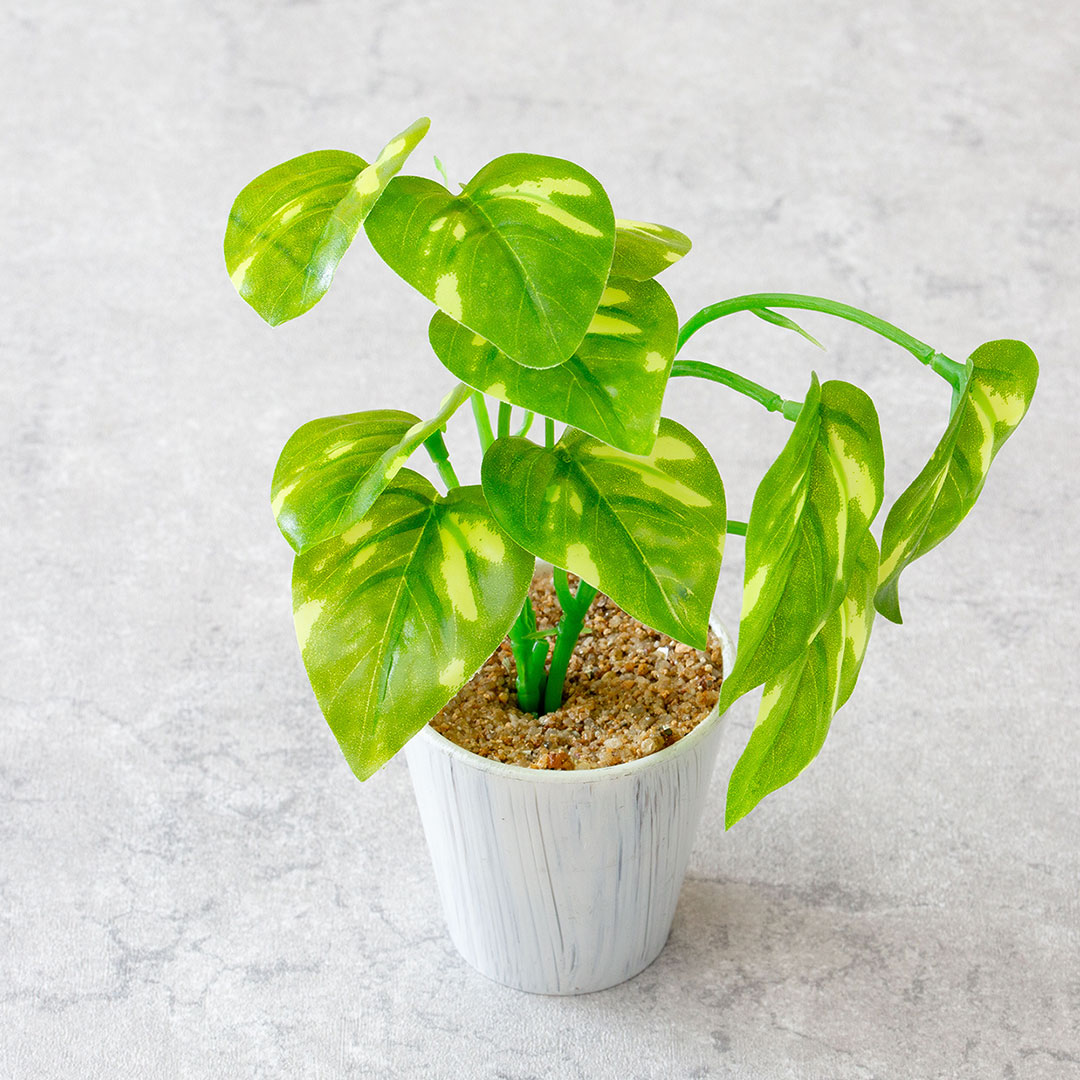 ミニポトスポット フェイクグリーン 光触媒加工