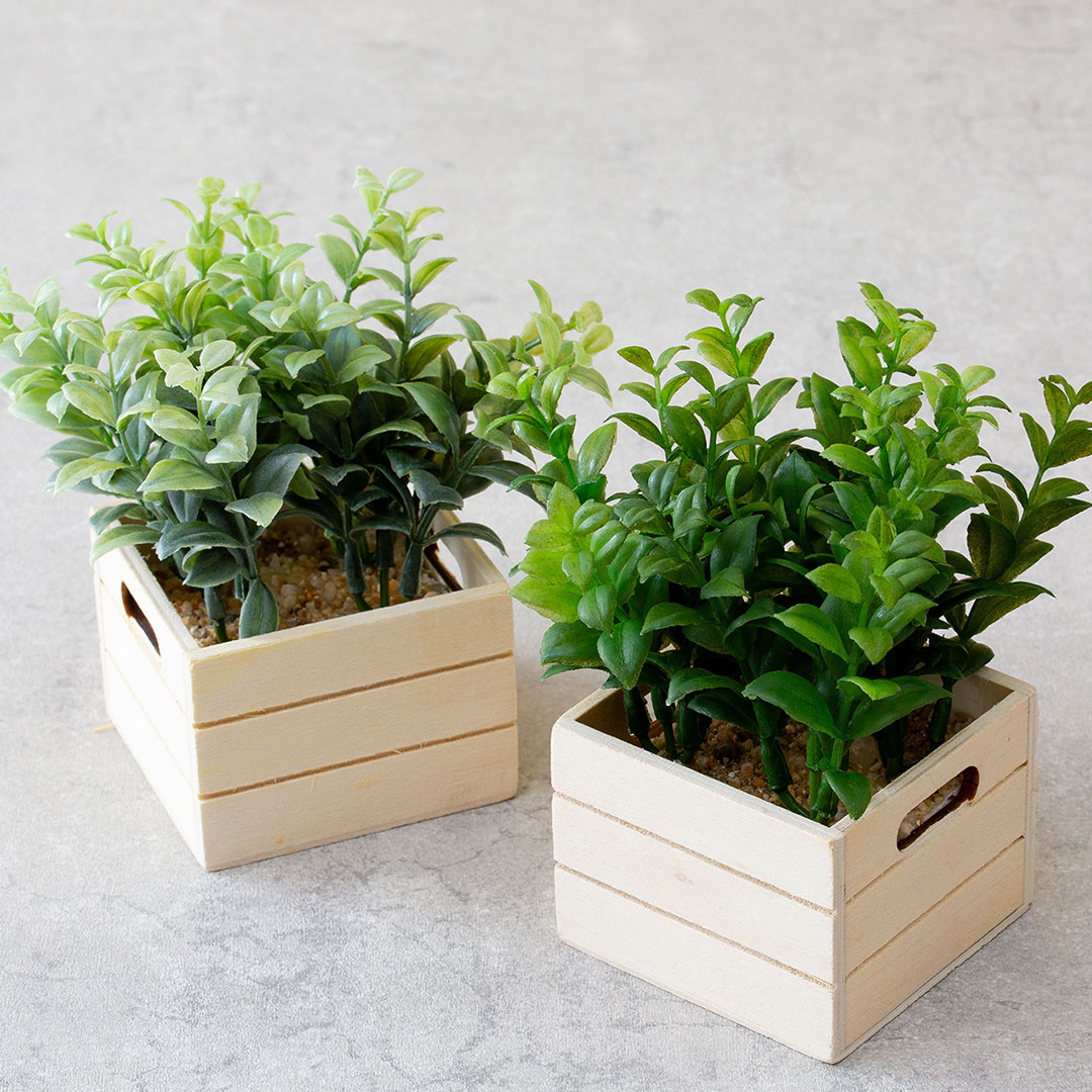 ハートリーフ コンテナBOX フェイクグリーン 光触媒加工