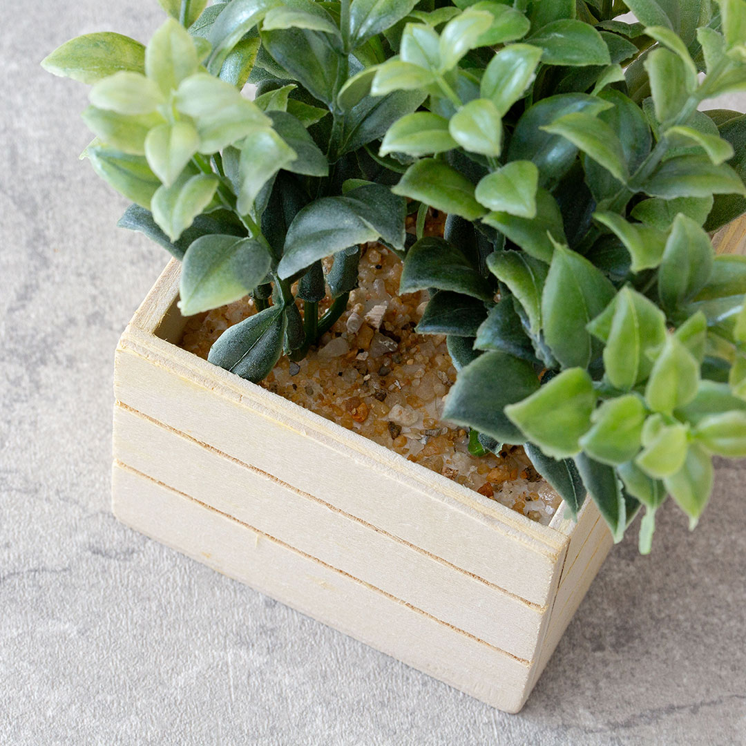 ハートリーフ コンテナBOX フェイクグリーン 光触媒加工